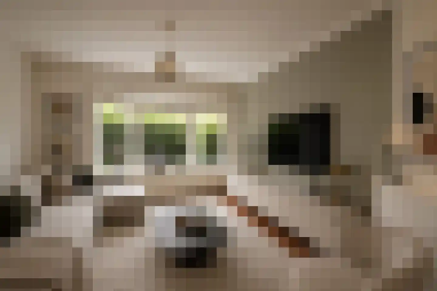 Croeselaan 106 Utrecht thumbnail 17