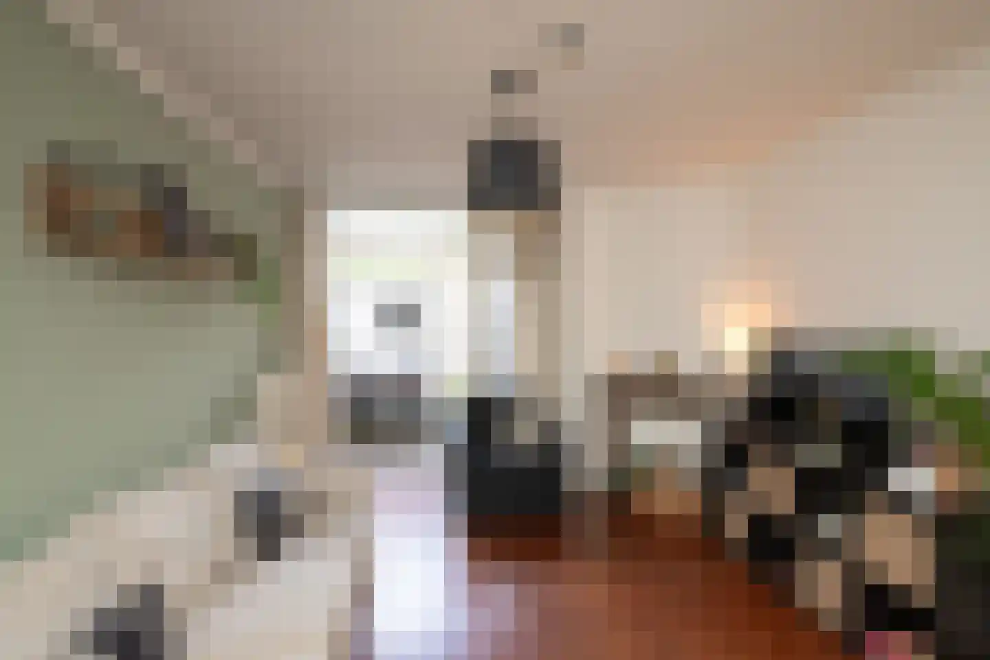 Croeselaan 106 Utrecht thumbnail 21