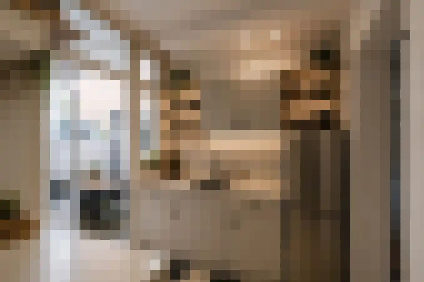 Croeselaan 106 Utrecht thumbnail 27