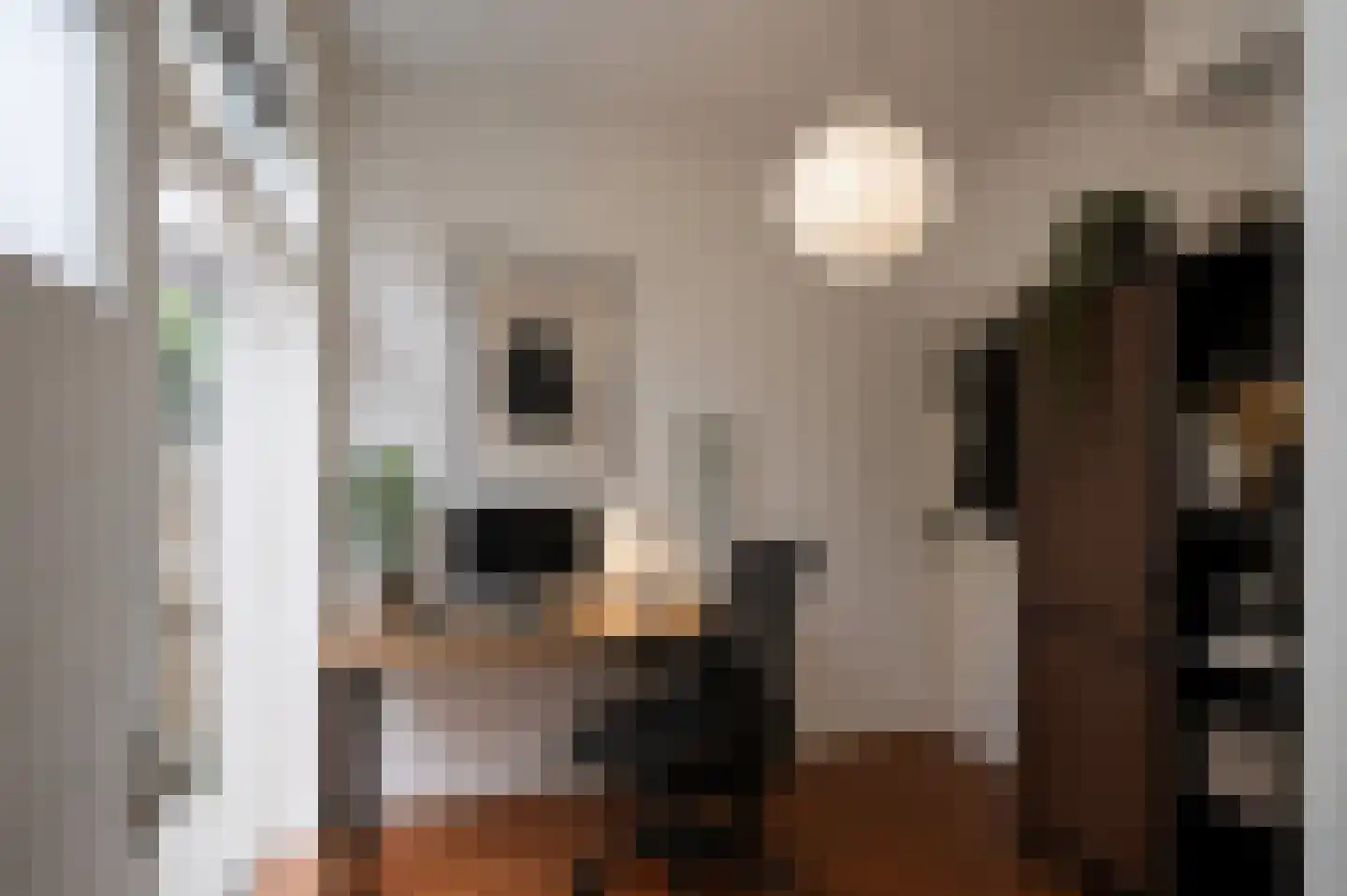 Croeselaan 106 Utrecht thumbnail 30