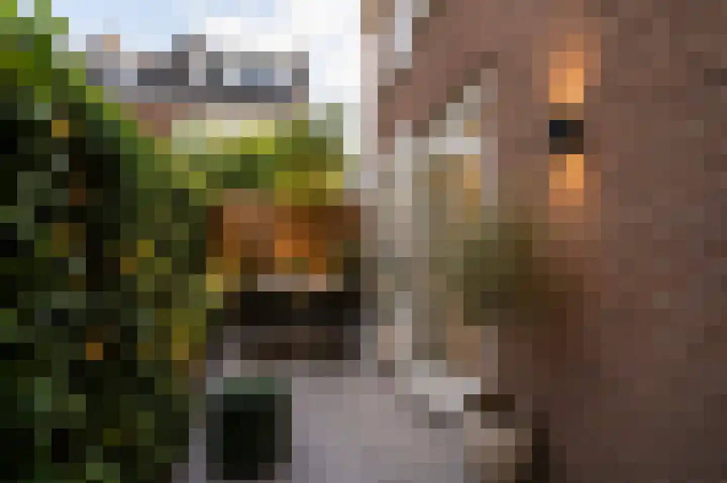 Croeselaan 106 Utrecht thumbnail 33