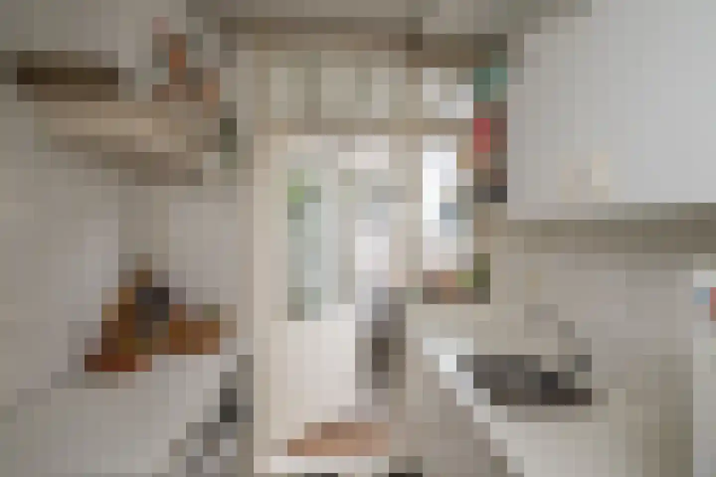 Croeselaan 106 Utrecht thumbnail 4
