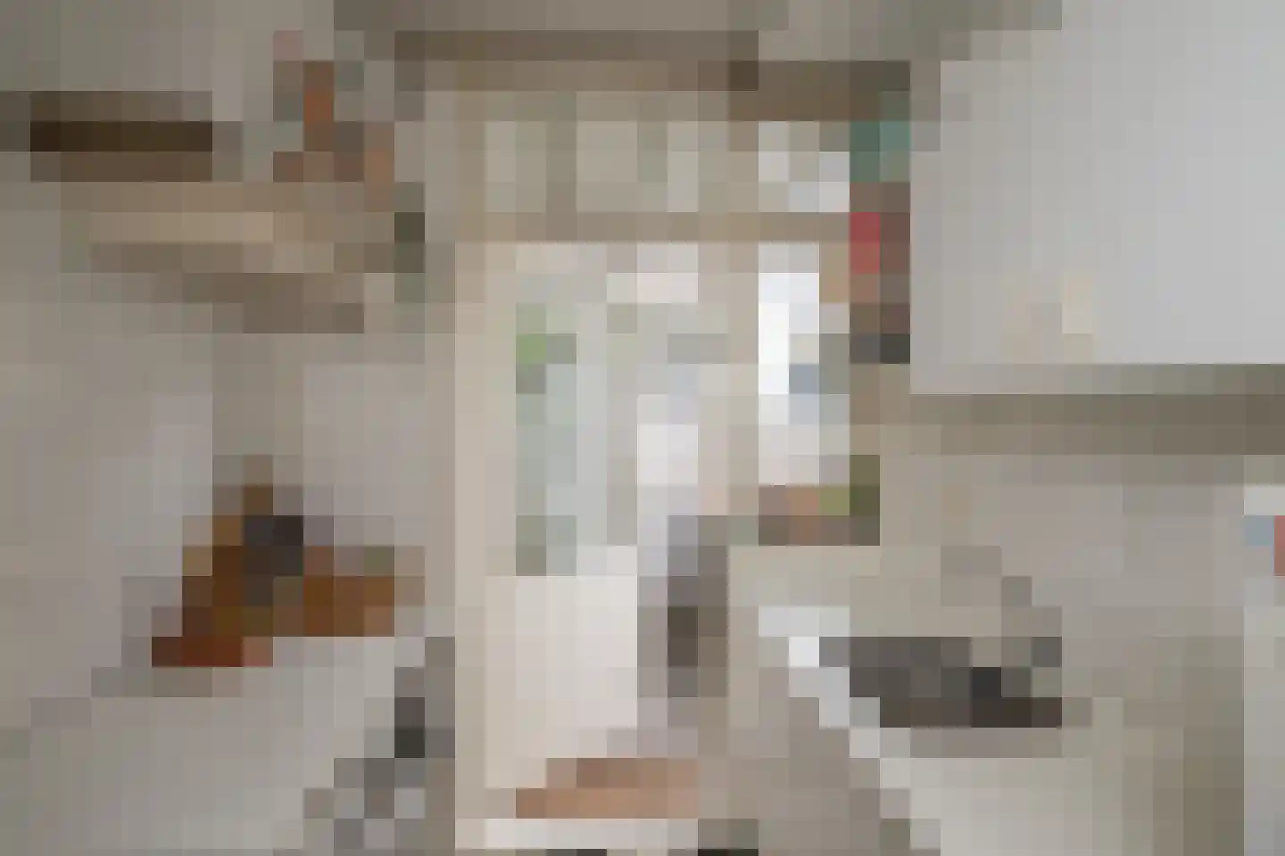 Croeselaan 106 Utrecht thumbnail 5