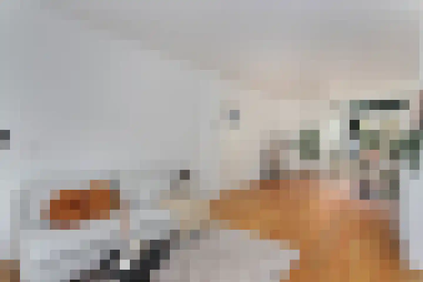 Croeselaan 108 Utrecht thumbnail 6