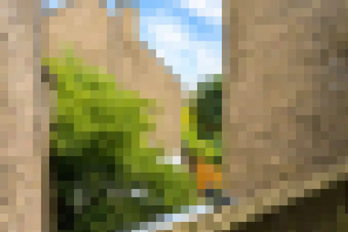 Croeselaan 136 A Utrecht thumbnail 15