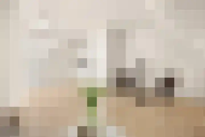 Croeselaan 170 B Utrecht thumbnail 11