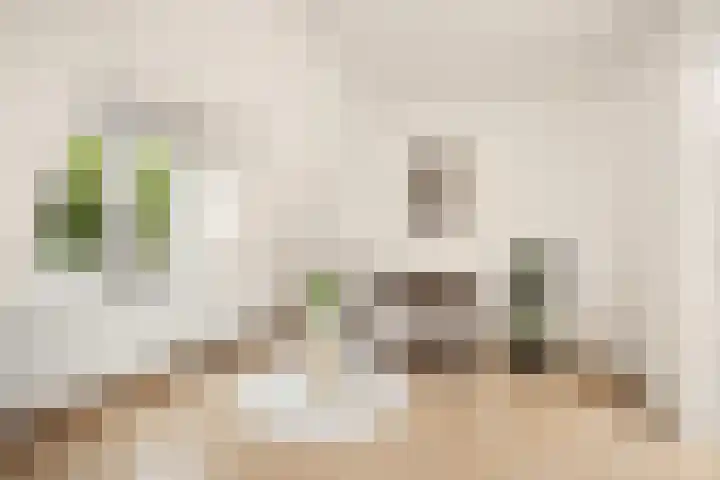 Croeselaan 170 B Utrecht thumbnail 12