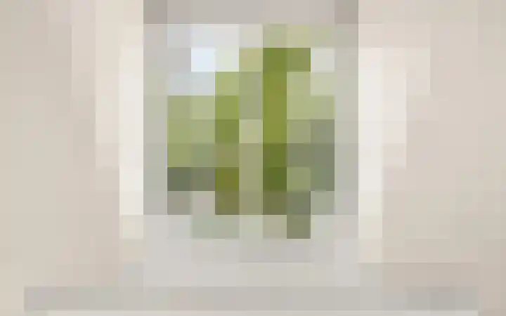 Croeselaan 170 B Utrecht thumbnail 25