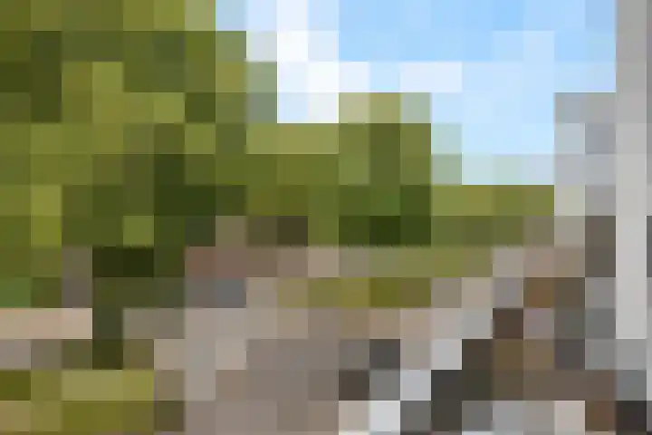 Croeselaan 170 B Utrecht thumbnail 26