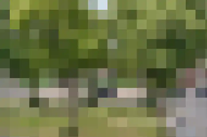 Croeselaan 170 B Utrecht thumbnail 28