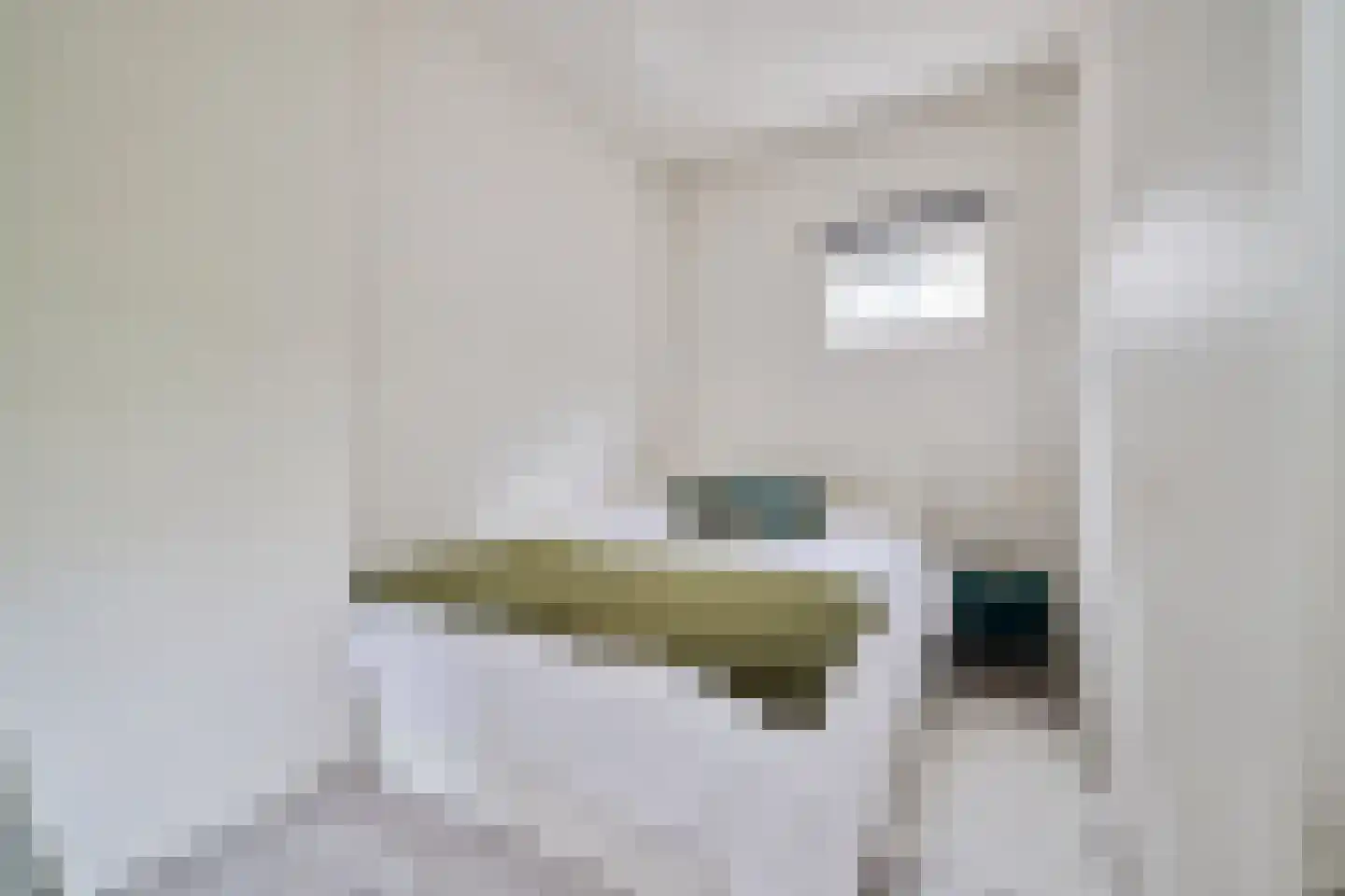 Croeselaan 170 Utrecht thumbnail 15