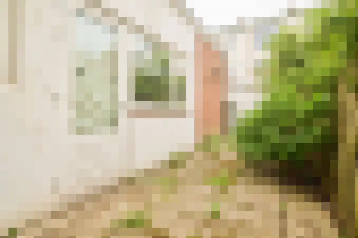 Croeselaan 170 Utrecht thumbnail 20