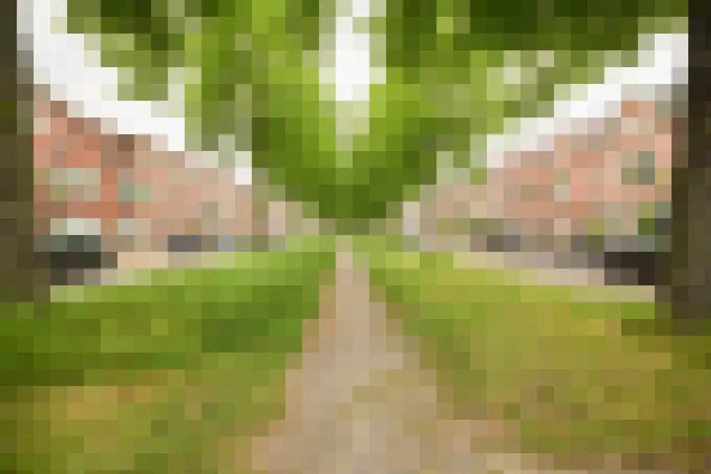 Croeselaan 170 Utrecht thumbnail 23