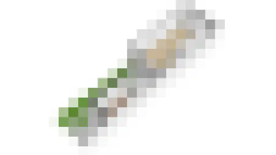 Croeselaan 170 Utrecht thumbnail 30