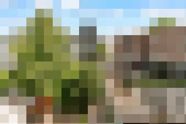 Croeselaan 180 B Utrecht thumbnail 22