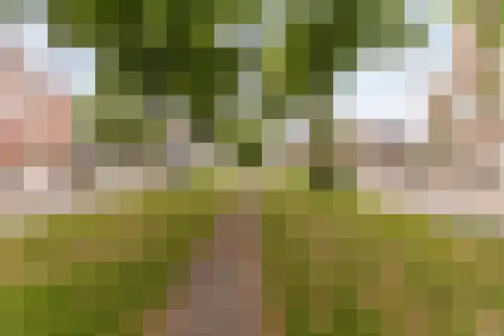 Croeselaan 180 B Utrecht thumbnail 27