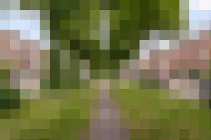 Croeselaan 180 B Utrecht thumbnail 28