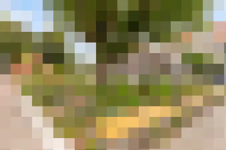 Croeselaan 180 B Utrecht thumbnail 31