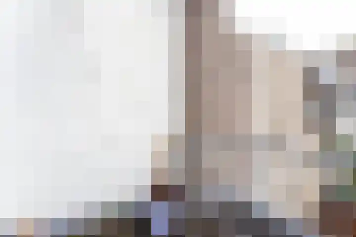Croeselaan 186 Utrecht thumbnail 17