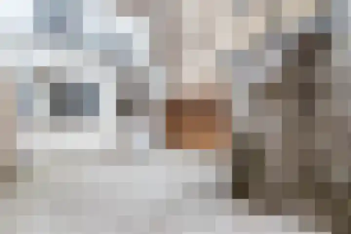 Croeselaan 186 Utrecht thumbnail 26
