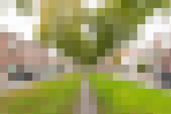 Croeselaan 186 Utrecht thumbnail 27