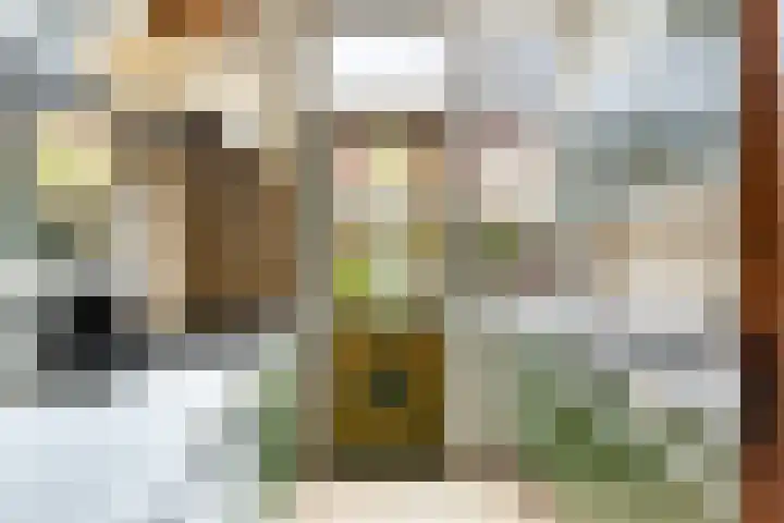 Croeselaan 194 Utrecht thumbnail 15