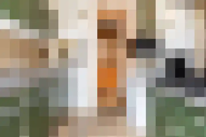 Croeselaan 194 Utrecht thumbnail 16