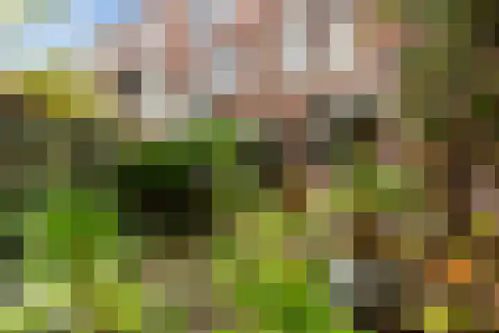 Croeselaan 194 Utrecht thumbnail 30