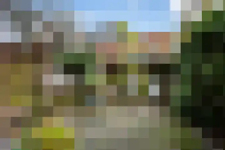 Croeselaan 194 Utrecht thumbnail 32