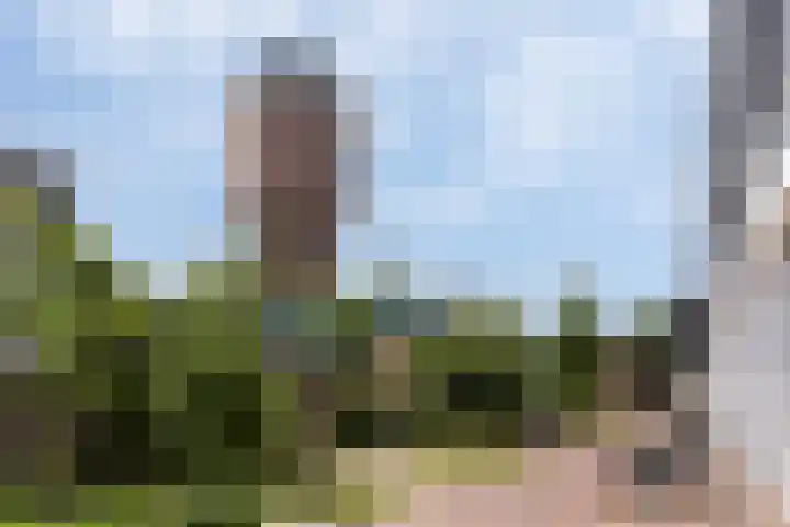 Croeselaan 194 Utrecht thumbnail 38