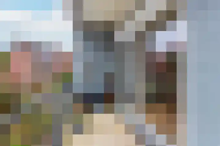 Croeselaan 227 BS Utrecht thumbnail 12