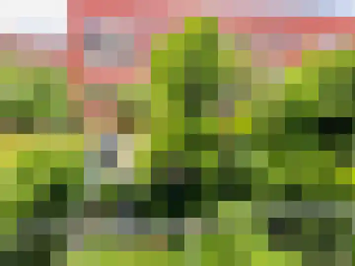 Croeselaan 227 BS Utrecht thumbnail 29