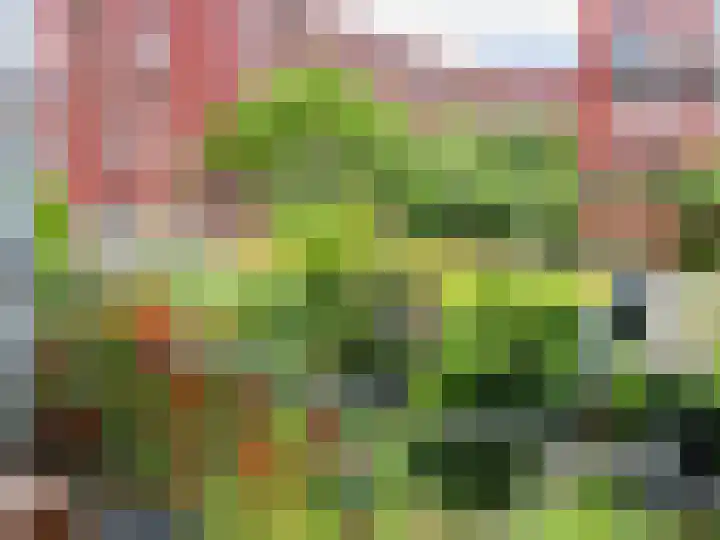 Croeselaan 227 BS Utrecht thumbnail 30