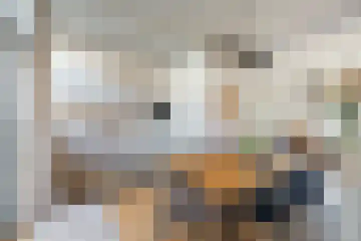 Croeselaan 230 Utrecht thumbnail 15
