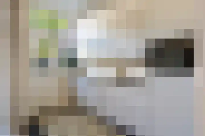 Croeselaan 230 Utrecht thumbnail 18