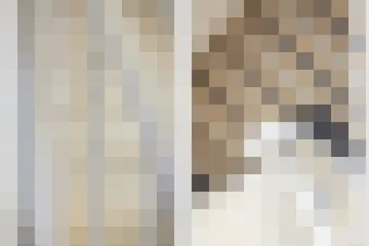 Croeselaan 230 Utrecht thumbnail 19