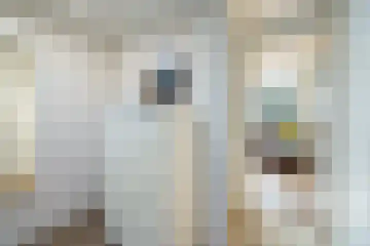 Croeselaan 230 Utrecht thumbnail 31