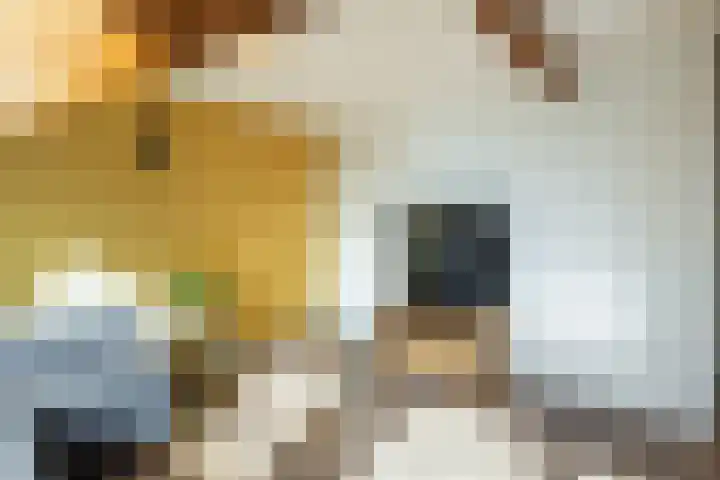Croeselaan 230 Utrecht thumbnail 34