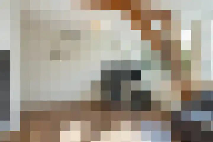Croeselaan 230 Utrecht thumbnail 35