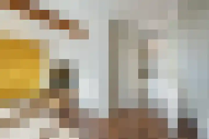 Croeselaan 230 Utrecht thumbnail 36