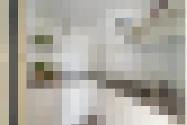 Croeselaan 230 Utrecht thumbnail 37