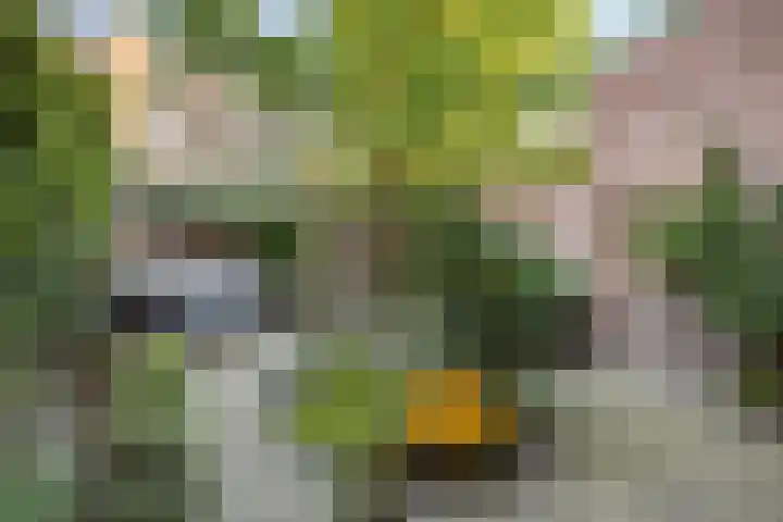 Croeselaan 230 Utrecht thumbnail 41