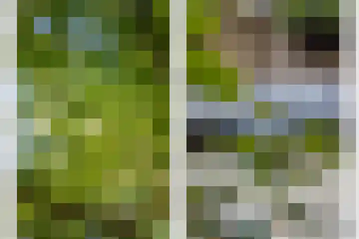 Croeselaan 230 Utrecht thumbnail 49