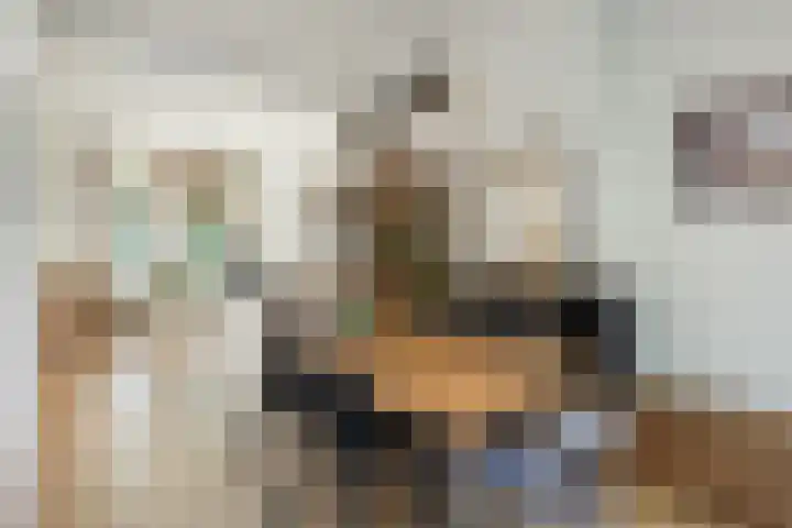 Croeselaan 230 Utrecht thumbnail 5
