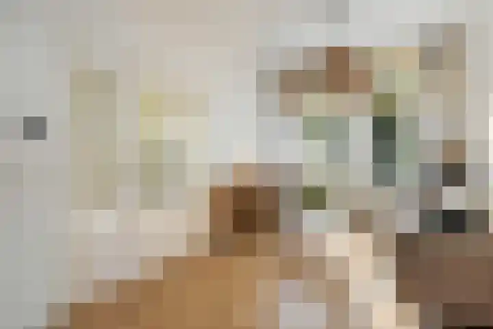 Croeselaan 230 Utrecht thumbnail 7