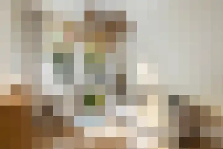 Croeselaan 230 Utrecht thumbnail 9