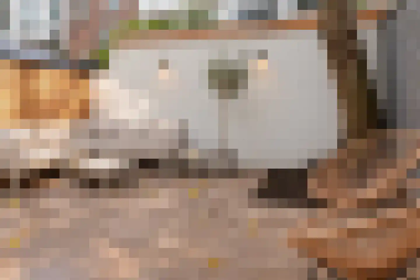 Croeselaan 246 Utrecht thumbnail 6