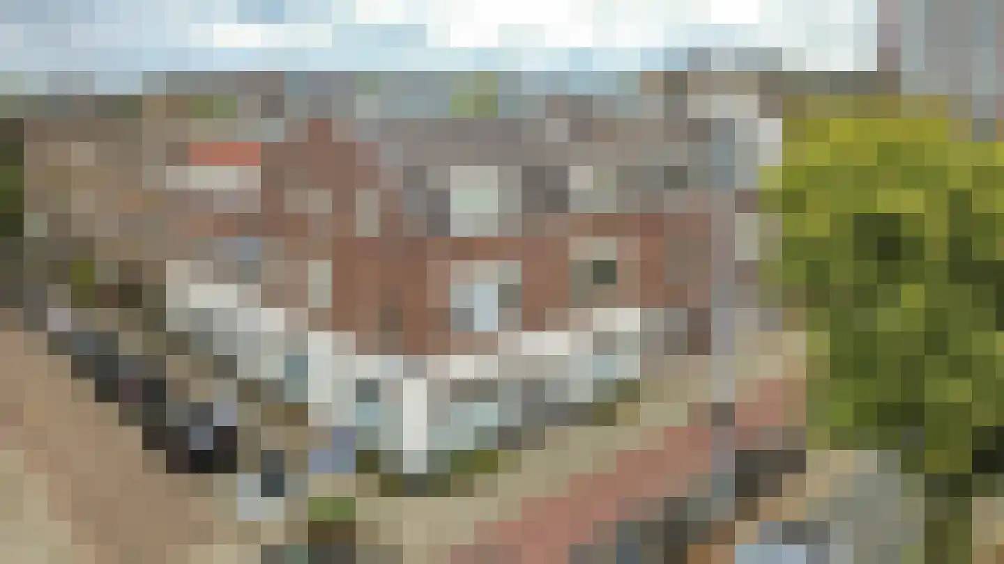 Croeselaan 262 D Utrecht thumbnail 22