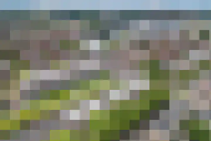Croeselaan 265 BS Utrecht thumbnail 20