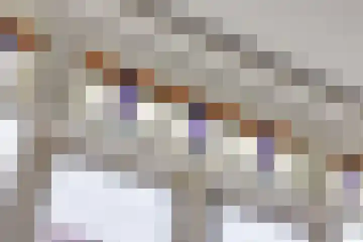 Croeselaan 265 BS Utrecht thumbnail 22